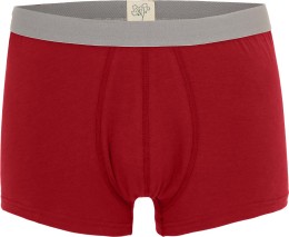 Herrenunterwäsche in Bioqualität - Trunk Shorts rot-grau