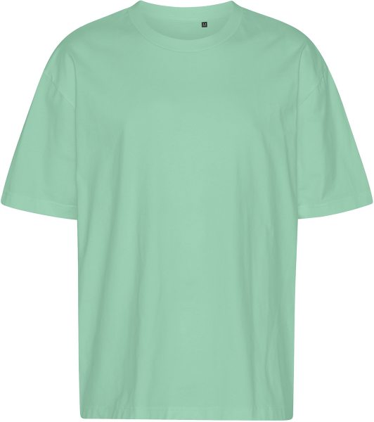 Tiger Cotton Oversized T-Shirt - dusty mint