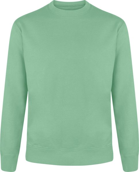 Sage green sweatshirt top