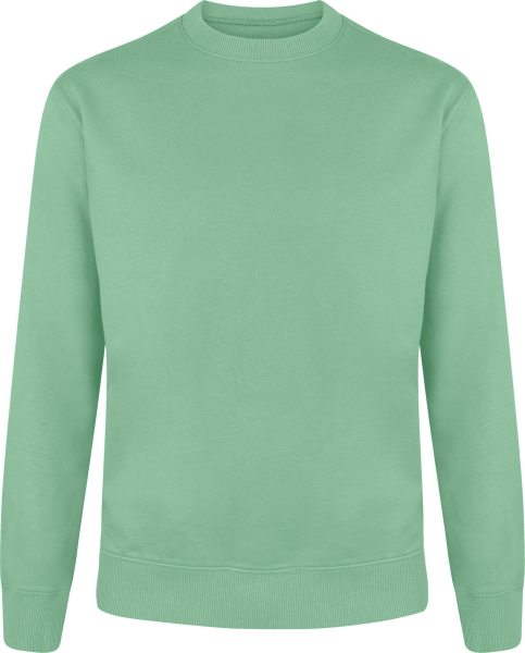 Organic Unisex Sweatshirt - sage green