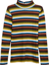 Rollkragen-Longsleeve aus Bio-Baumwolle - autumn stripe